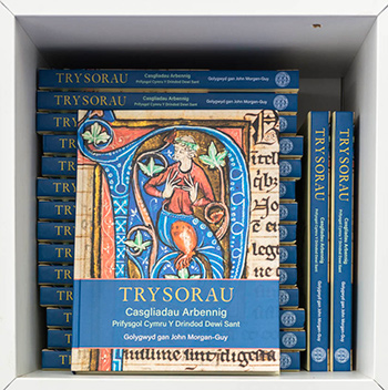 Trysorau books on sale.